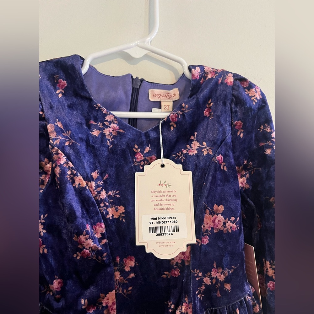 Ivy City Co Mini Nikki Dress 2T Floral Tiered Long Sleeve NWT - Picture 2 of 4